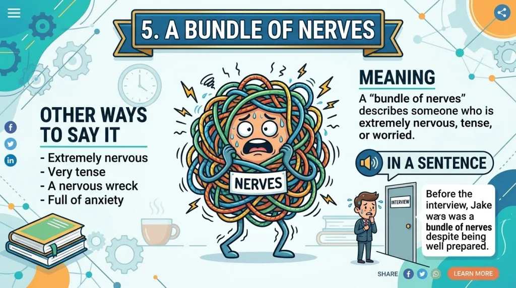 A Bundle of Nerves